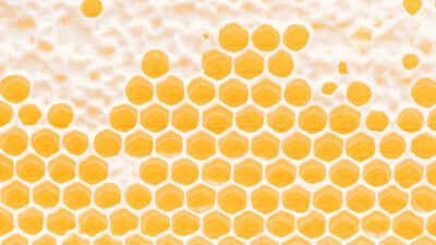 Debunking productivity myths to improve creative workflows